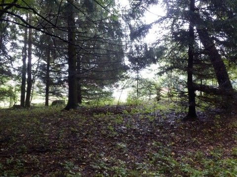 Foto 57